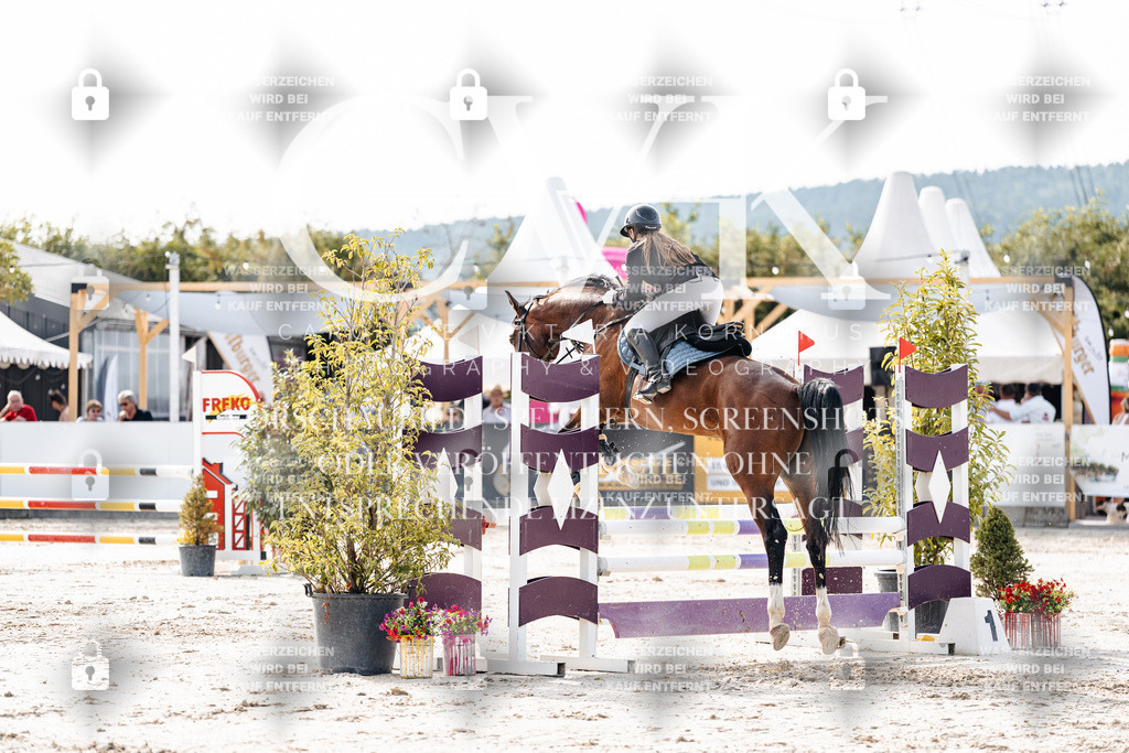CK905634 | Turnierfotografie Pferdefotografie Trier Rheinland-Pfalz Pferdesport Reitsport Tierfotografie Sportfotografie Pferdevideo Pferdevideografie Equestrianvideography equestrianphotography  - Realisiert mit Pictrs.com