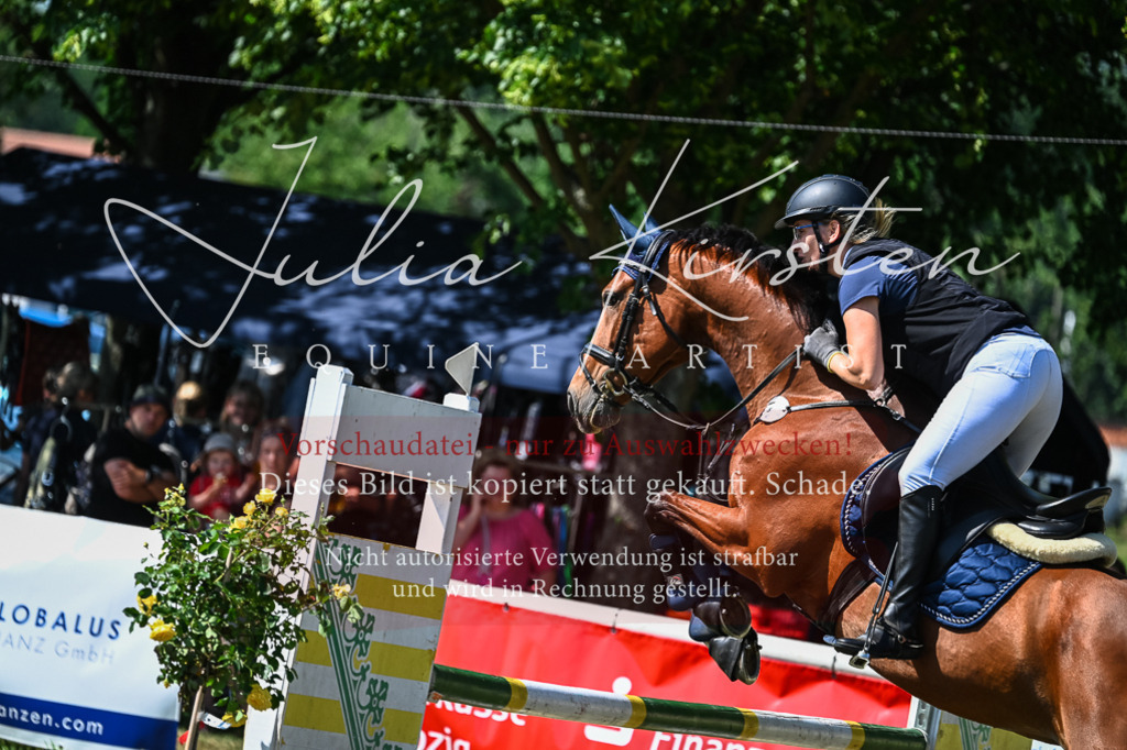 DSC_1429 | Pferde- und Turnierfotografie in Westsachsen. Pferdeportraits, Auftragszeichnungen und intuitive Kunst.