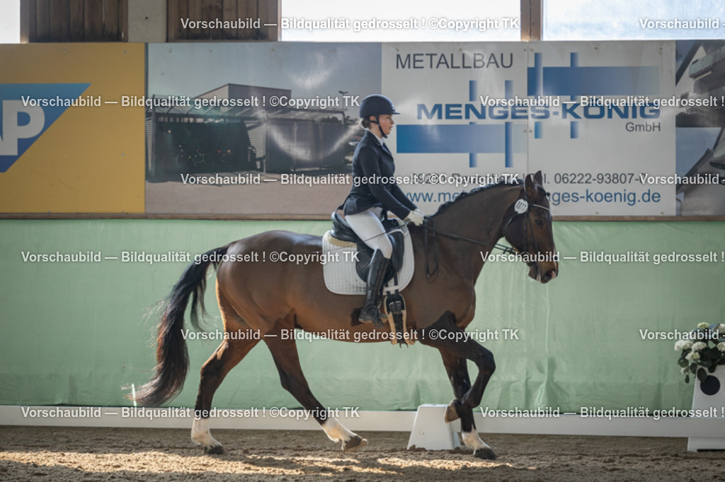 _D5A8376 | Emotionale Pferde- & People-Fotografie rund um Heidelberg, Leimen & Umgebung. Natürliche Fotos von Pferd, Mensch & Familie. Jetzt Termin sichern!