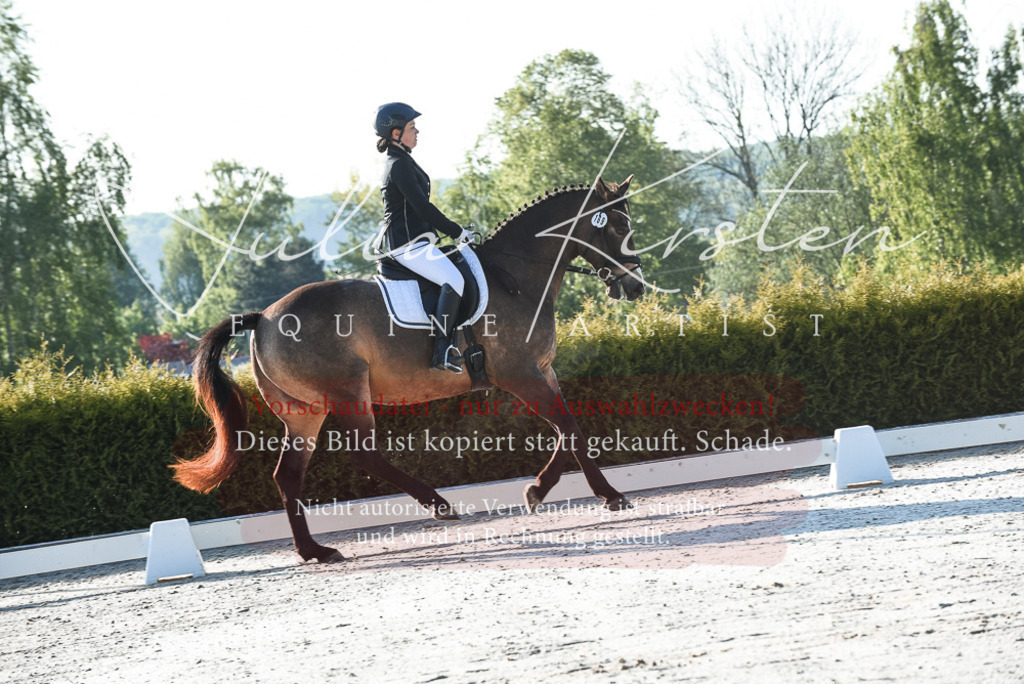 20230518_JK-Röhrsdorf-09-0063 | Pferde- und Turnierfotografie in Westsachsen. Pferdeportraits, Auftragszeichnungen und intuitive Kunst.