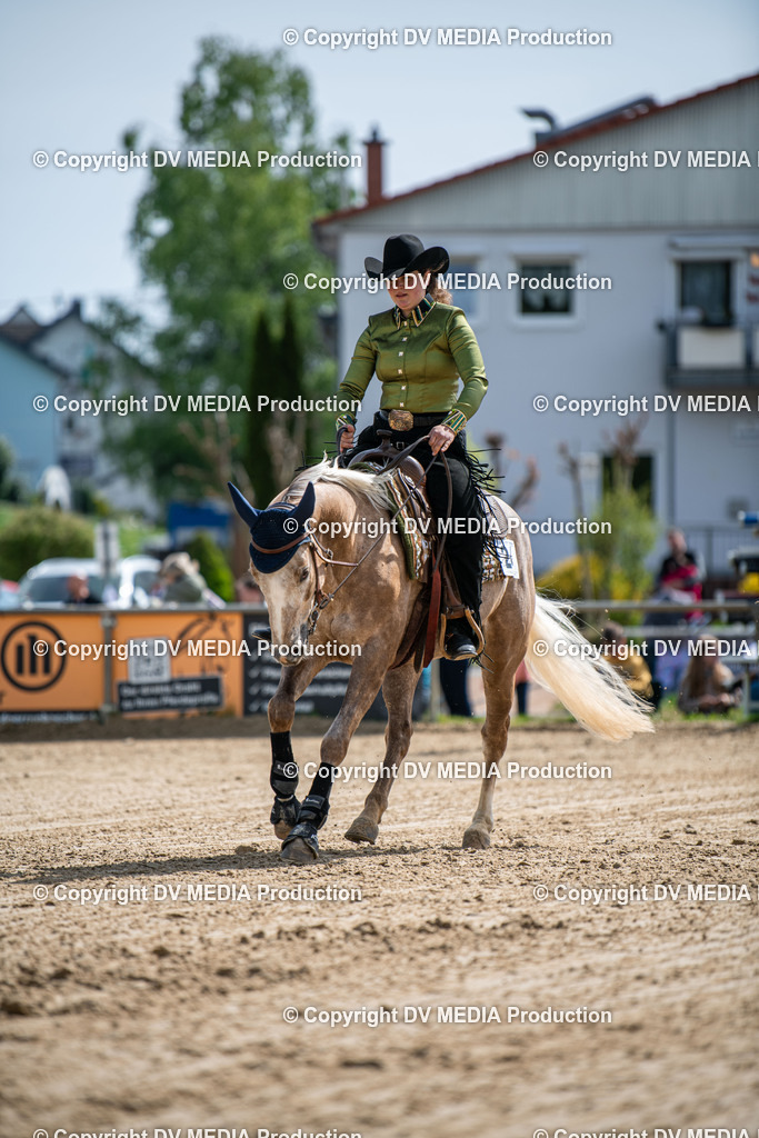 Heiligenwald Tag 3-800 | dv-media-shop - Realisiert mit Pictrs.com