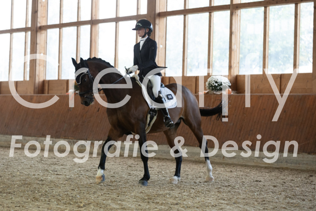 IMG_1834 | Creatify Fotografie