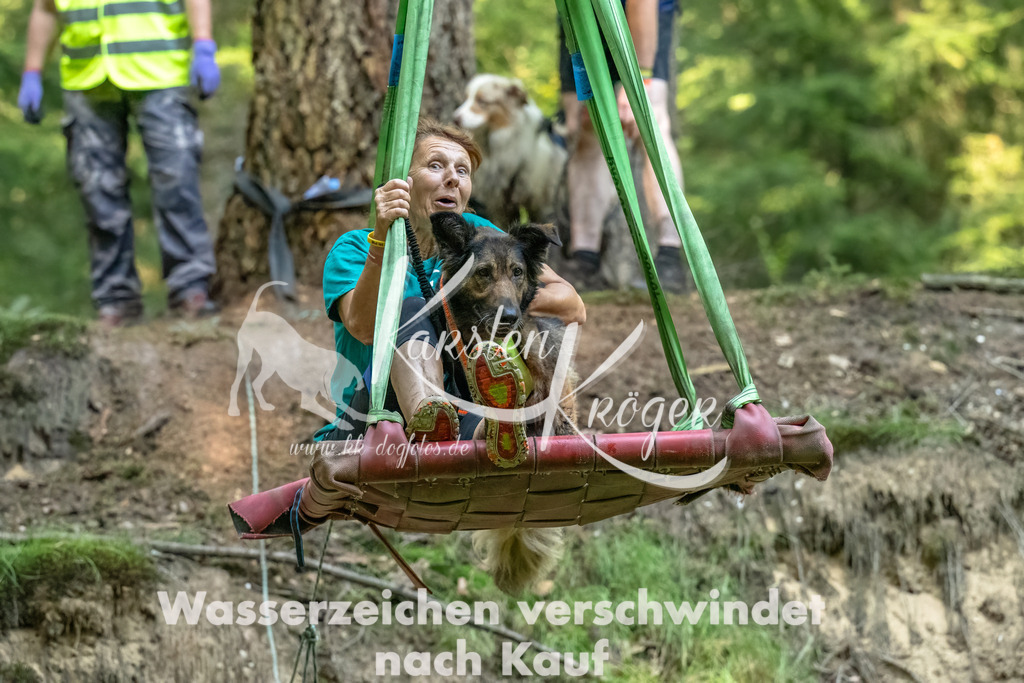 1359_ZZ94103-Bearbeitet | kk-dogfotos