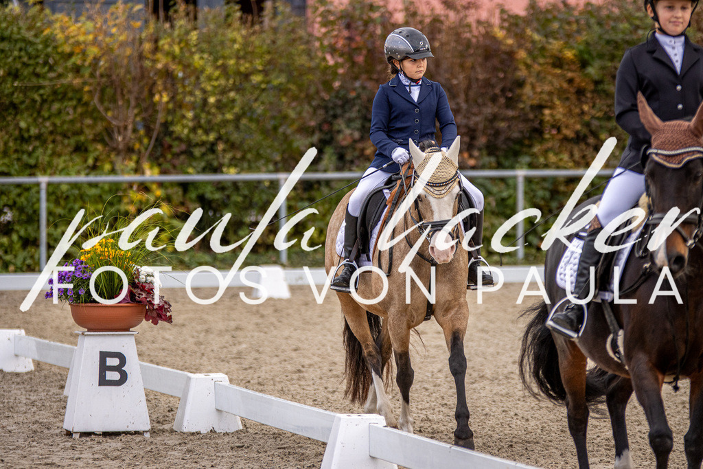 IMG_3553 | Erleben Sie dynamische Sport- und emotionale Tierfotografie in Süddeutschland mit Fotos von Paula. Spezialisiert auf Pferde- und Hundefotografie sowie Sportevents. Kontaktieren Sie mich für einzigartige und ausdrucksstarke Bilder Ihrer besonderen Momente. - Realisiert mit Pictrs.com