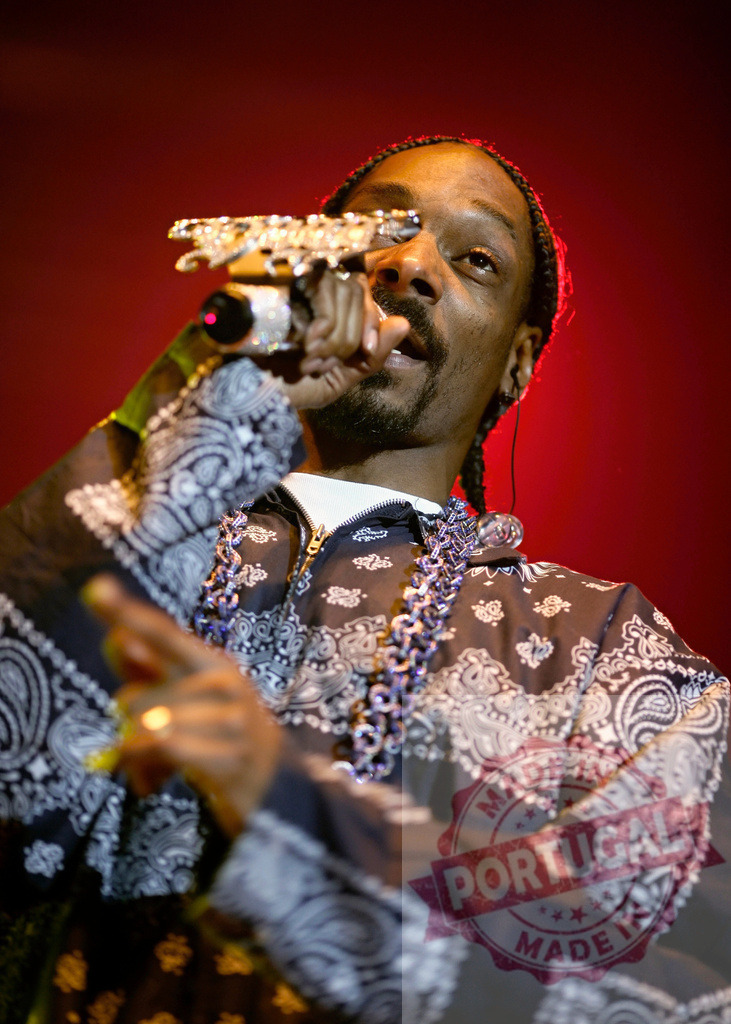 Snoop Dogg performing hip hop music on stage | Snoop Dogg singing into a microphone on stage, wearing a bandana pattern shirt - Realized with Pictrs.com