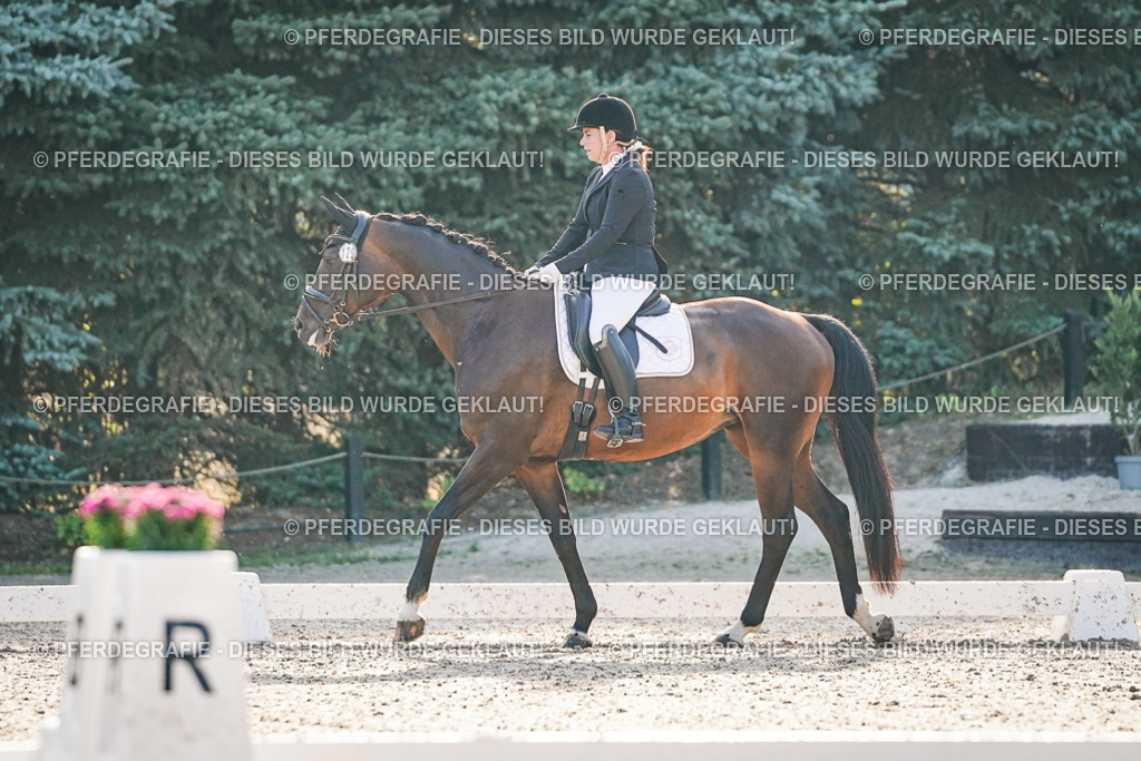 DSC08025 | Pferdegrafie