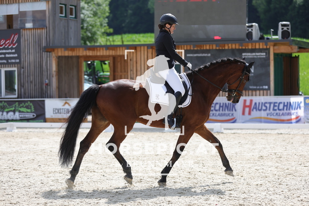 0P6A6149 | Willkommen bei Brunnmayr - Design & Fotografie – Ihrem Spezialisten für Reitturniere und Pferdeveranstaltungen in Oberösterreich, Salzburg und Bayern! Seit über 17 Jahren sind wir leidenschaftlich dabei.