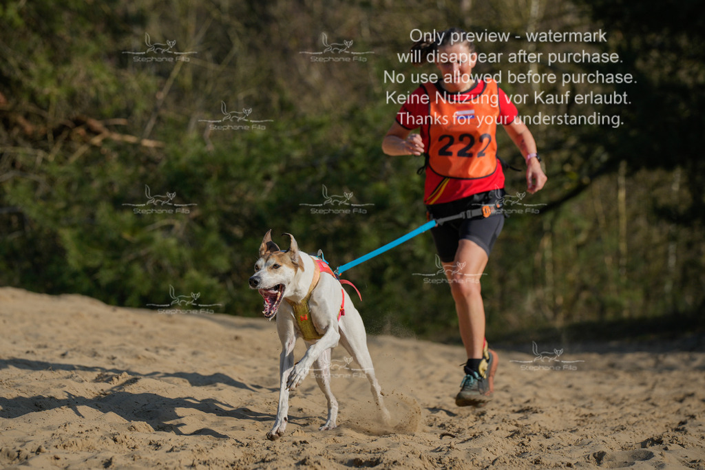 So_CC_lang-187 | stephaniefillaphotographie - Realisiert mit Pictrs.com