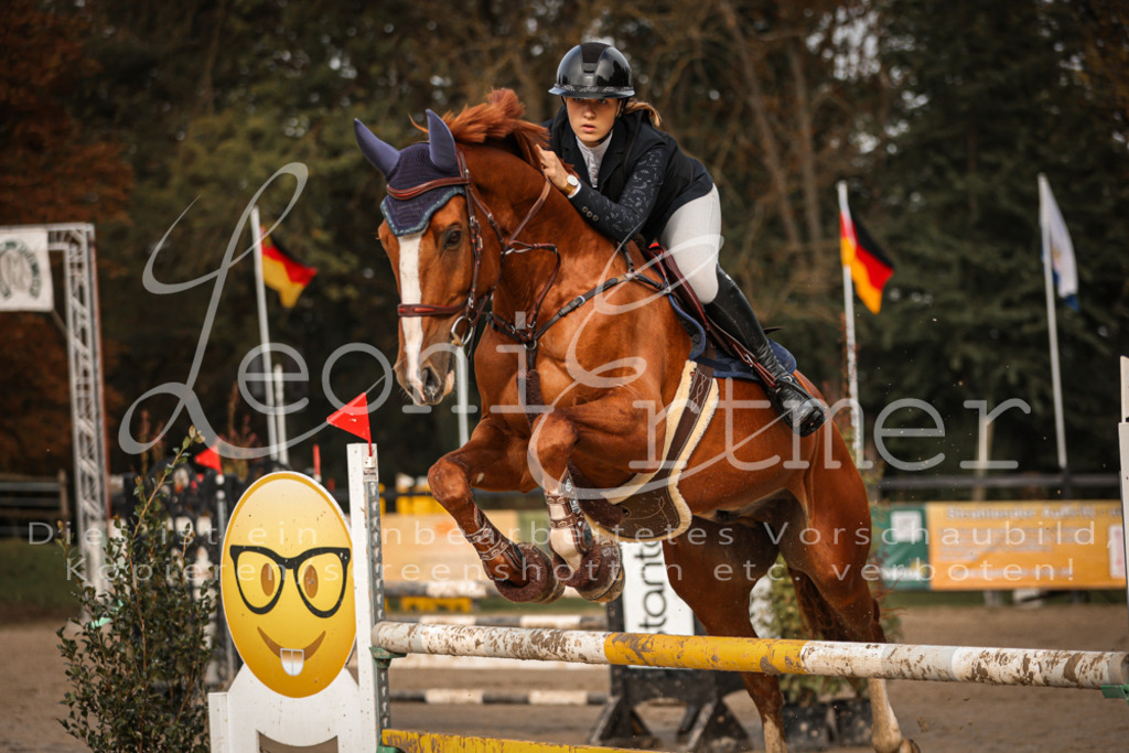 15.SoSpL00097 | Leoni Ertmer Photography - Realisiert mit Pictrs.com