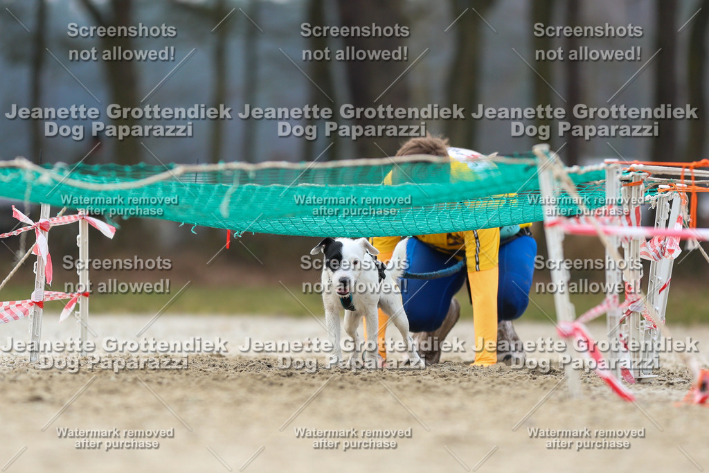 Dog Paparazzi - Strongdog North Mrz26-4590 | Dog Paparazzi Jeanette Grottendiek Fotografie & Videografie - Realisiert mit Pictrs.com