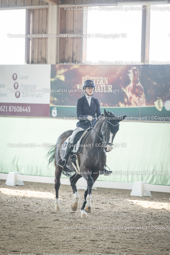 _D5A0650 | Emotionale Pferde- & People-Fotografie rund um Heidelberg, Leimen & Umgebung. Natürliche Fotos von Pferd, Mensch & Familie. Jetzt Termin sichern!