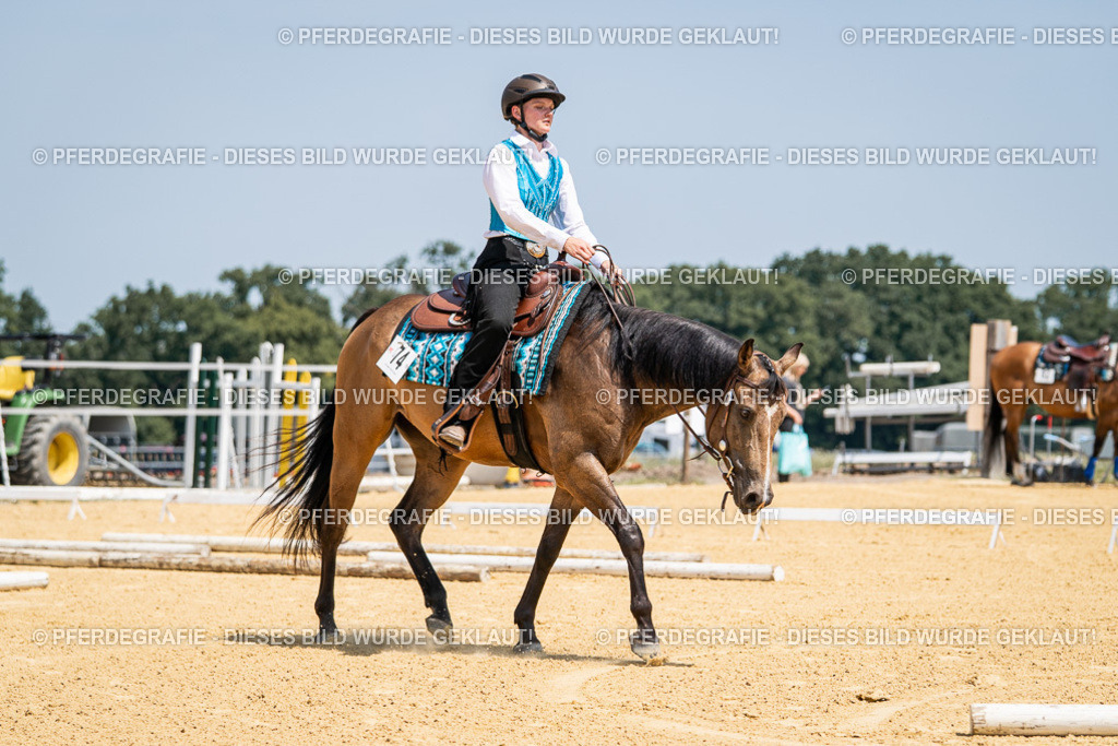 DSC01030 | Pferdegrafie