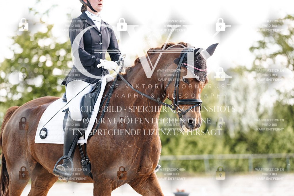 CK909724 | Turnierfotografie Pferdefotografie Trier Rheinland-Pfalz Pferdesport Reitsport Tierfotografie Sportfotografie Pferdevideo Pferdevideografie Equestrianvideography equestrianphotography  - Realisiert mit Pictrs.com