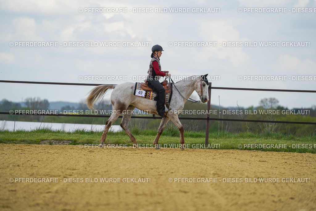 DSC06607 | Pferdegrafie