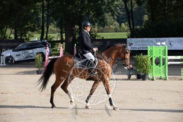 2B4A1071 | pixelfaenger - Realisiert mit Pictrs.com