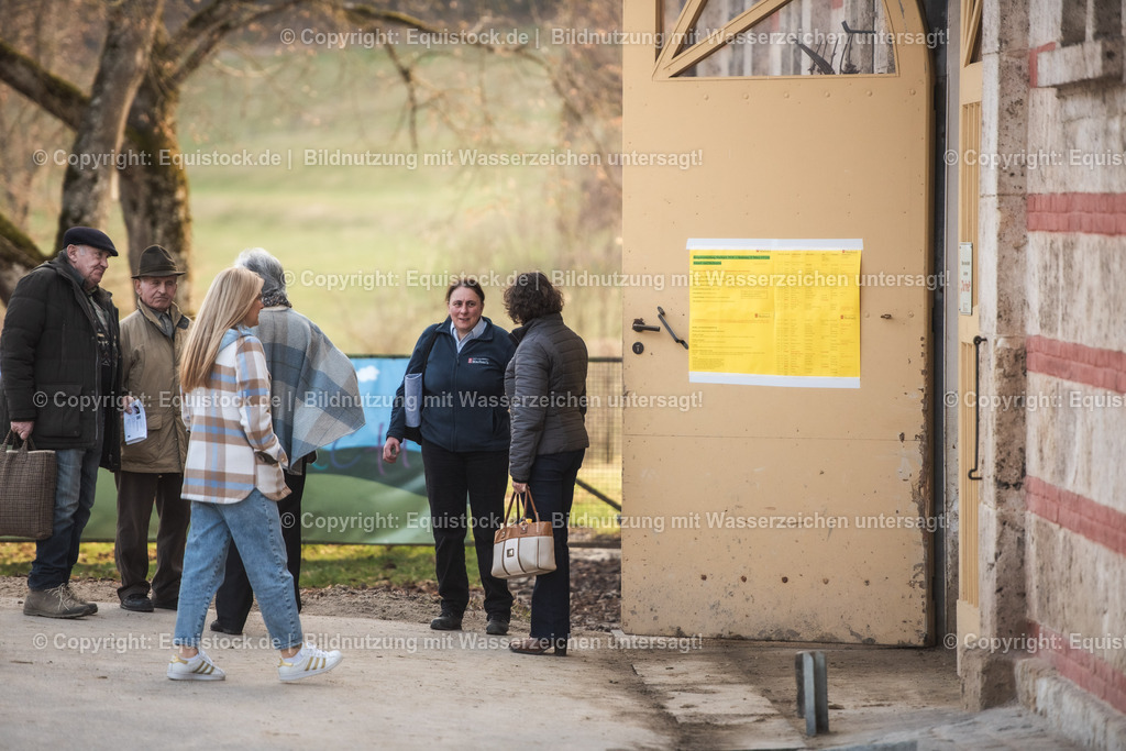 20240302_Hengstvorstellung_Marbach_TOMsPiC_0011 | equistock