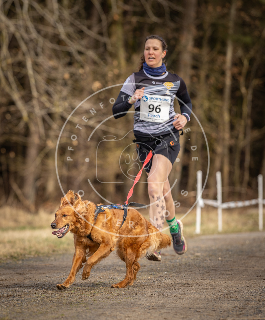 DV3A4092 | Hundefotografie, Tierfotograf, Pfotenfotografie, Fotoshooting Hund, Hunde Portrait, Hundesport, Hundeportraits, Heideshooting, Hunde, Sportfotograf, Hundefotograf, Turnierhundsport, THS,  - Realisiert mit Pictrs.com