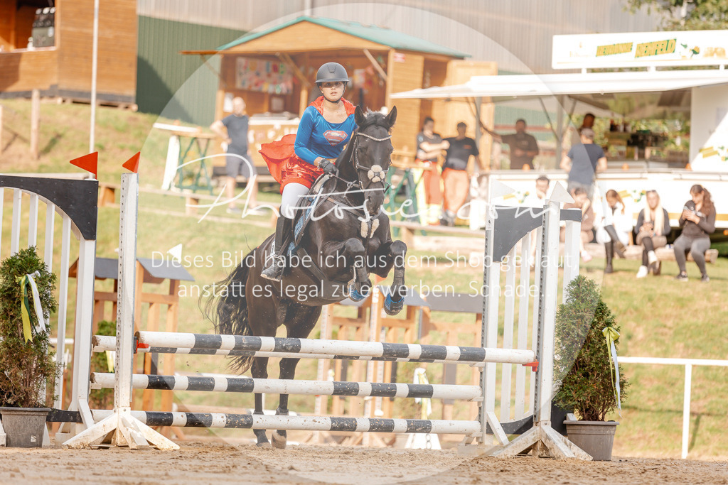 3I6A2682 | Stimmungsvolle Portraits und Reitsportfotografie im Ruhrgebiet und im Münsterland.

Pferdefotografie, Hundefotografie, Tierfotografie, Reportagen, Portraits von Tier und Mensch, Turnierfotografie in Bochum, Recklinghausen, Marl, Haltern am See, Dülmen.. - Realisiert mit Pictrs.com