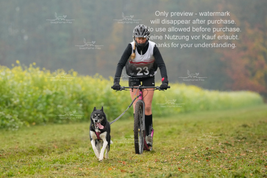 Visbeck_Sa_Scooter_Hc-80 | stephaniefillaphotographie - Realisiert mit Pictrs.com