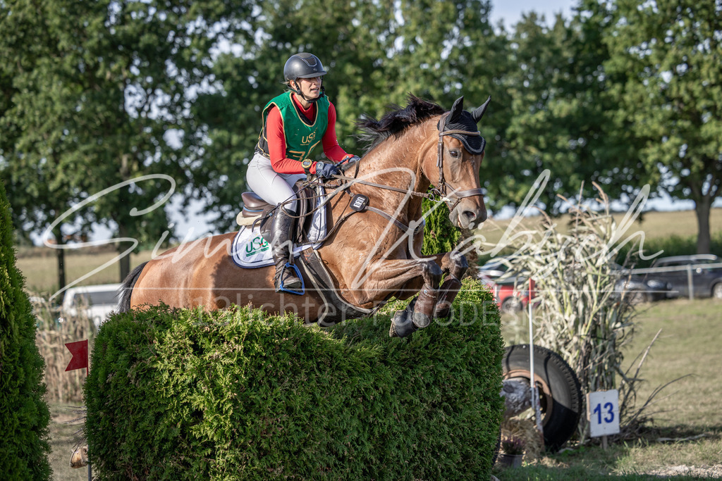 20250907-_3LI3912 | Tierfotografie Pferde, Hunde, Katzen, Haustiere.
Turnierfotografie Reitturniere, Reiten, Springreiten, Dressur in Hanau, dem Main-Kinzig-Kreis und dem Rhein-Main- Gebiet um Frankfurt