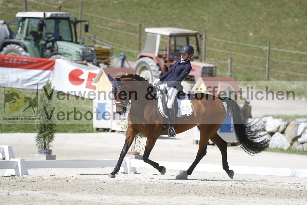 _MG_0443 | equestrian-live-com