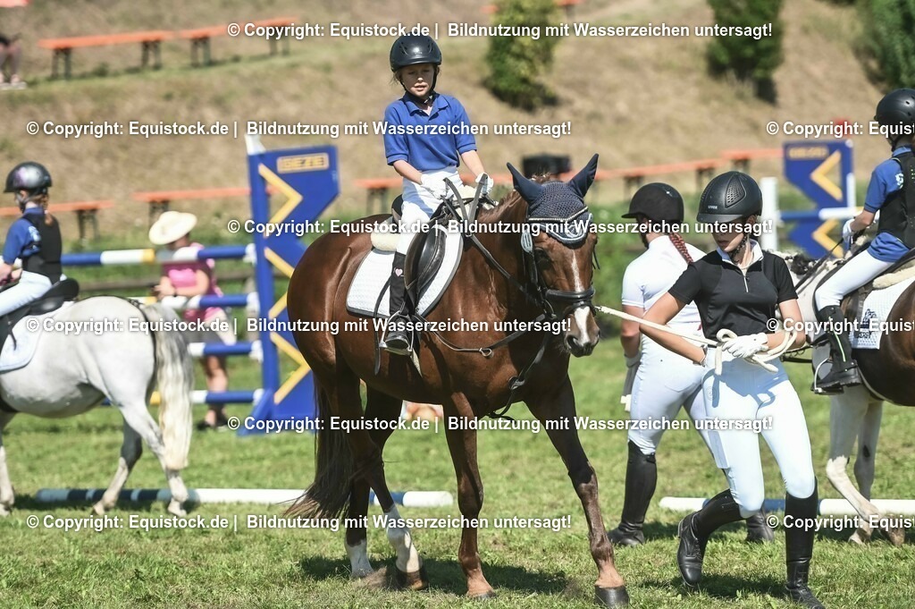 20230910_11-2_Führzügel-WB_0031 | Foto: Thomas Hartig