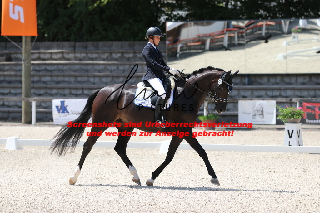 IMG_4417 | lmwpictures - Realisiert mit Pictrs.com