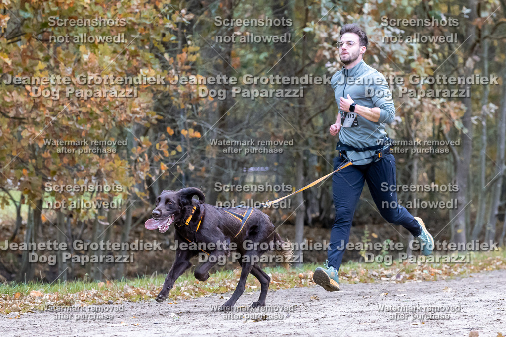 Dog Paparazzi - SD CaniX Championship 2025-411 | Dog Paparazzi Jeanette Grottendiek Fotografie & Videografie - Realisiert mit Pictrs.com