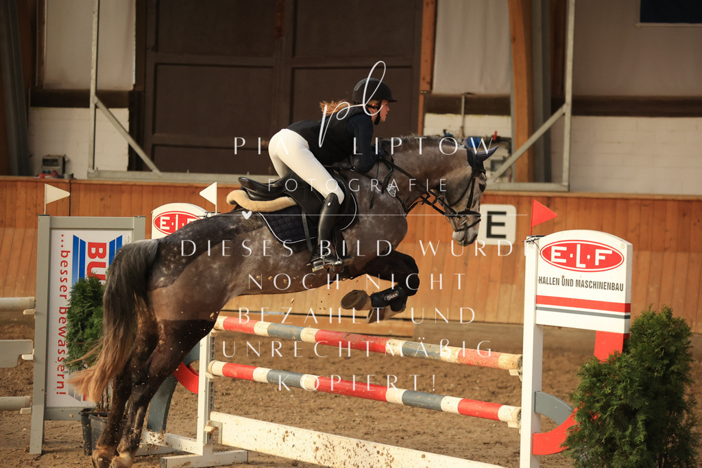 IMGT6504 | pl-fotografie