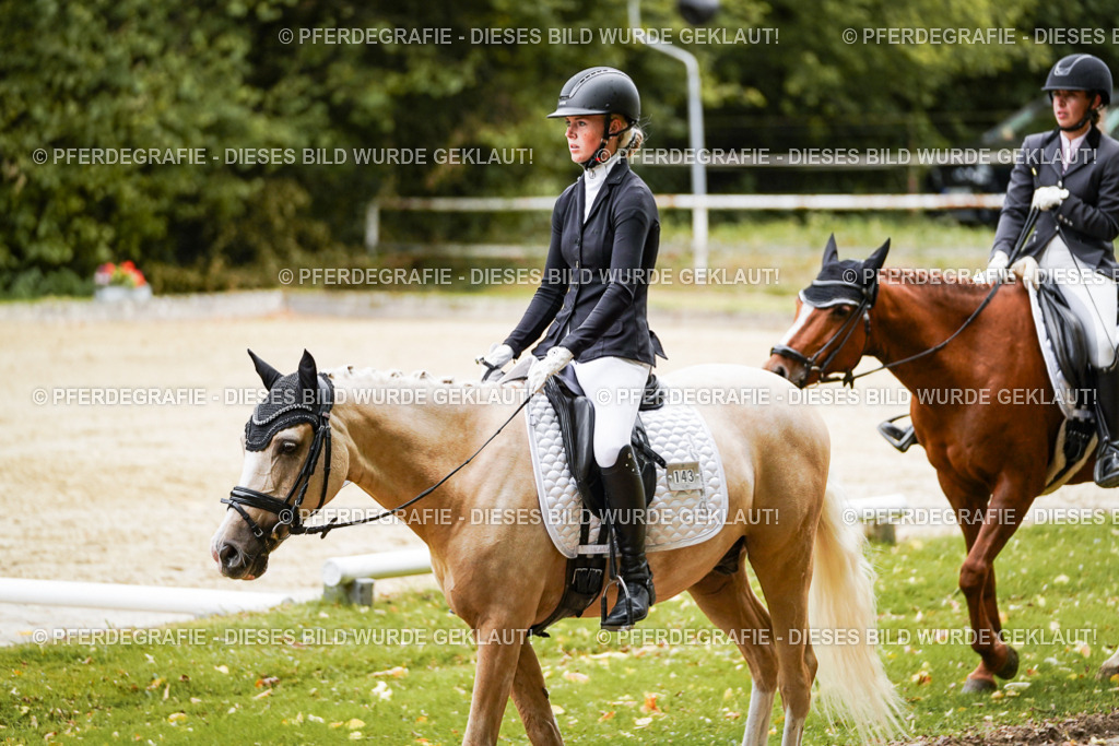 DSC08767 | Pferdegrafie