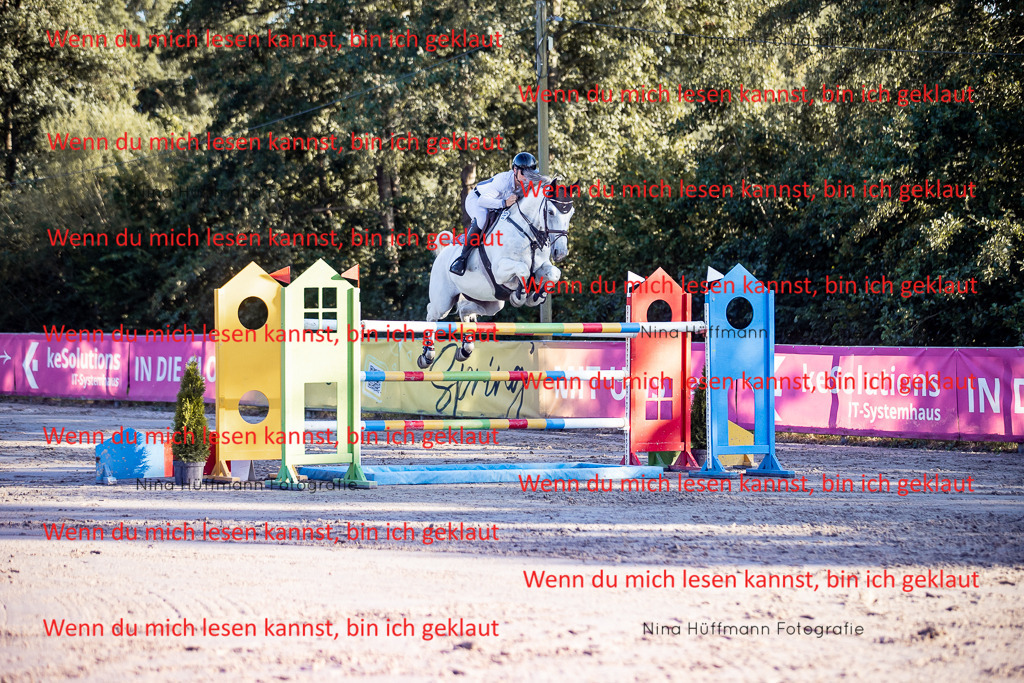 BK1A8809 | Turnierbilder Turnierfotos Nina Hüffmann Turnierfotografie Pferdefotografie Tierzeichnung Haustierzeichnung Pferdezeichnung Hundezeichnung Videograf  - Realisiert mit Pictrs.com