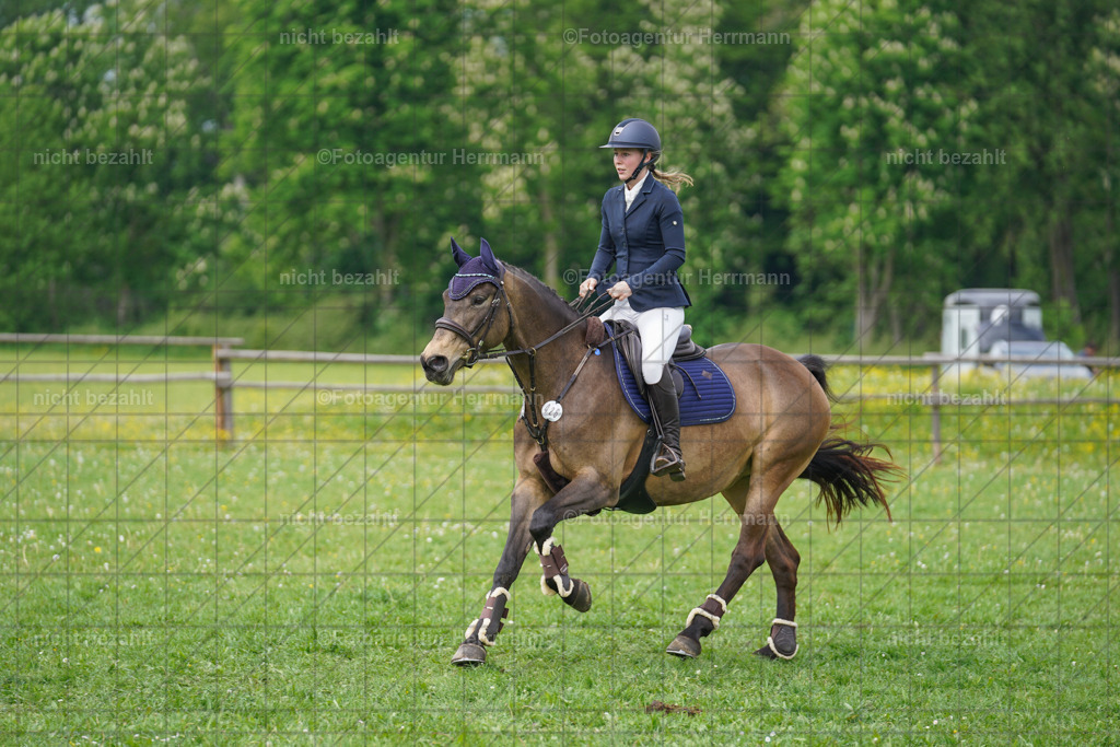 20240509-FAH02692 | Turnierbilder der Turnierfotografen Bayern, Pferdesport Fotografie, Reitsportbilder, Turnier Landberg am Lech, Turnierbilder bayern, Fotoagentur Herrmann