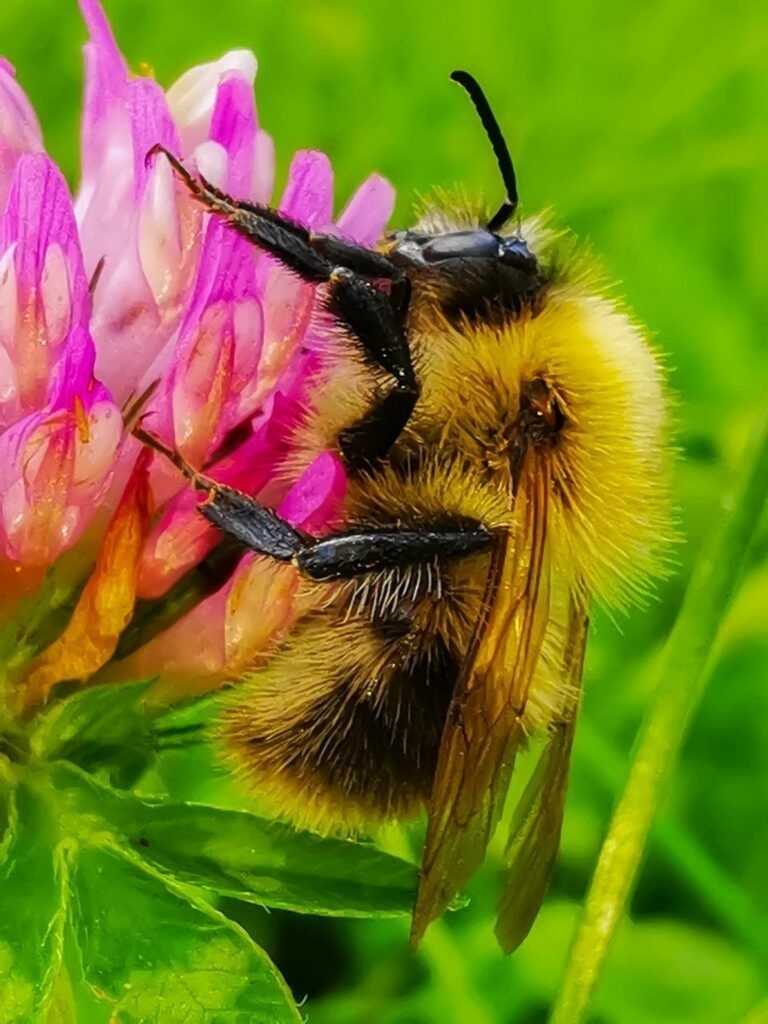 PSX_20220923_062746 | mtkfoto_ - Realisiert mit Pictrs.com