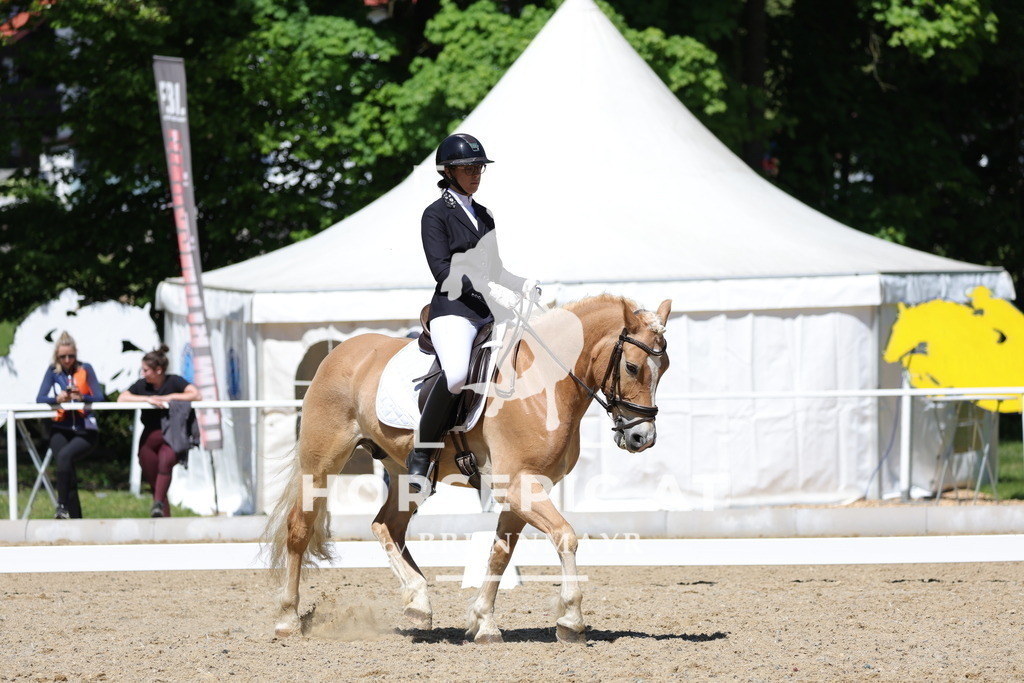 0P6A1216 | Willkommen bei Brunnmayr - Design & Fotografie – Ihrem Spezialisten für Reitturniere und Pferdeveranstaltungen in Oberösterreich, Salzburg und Bayern! Seit über 17 Jahren sind wir leidenschaftlich dabei.