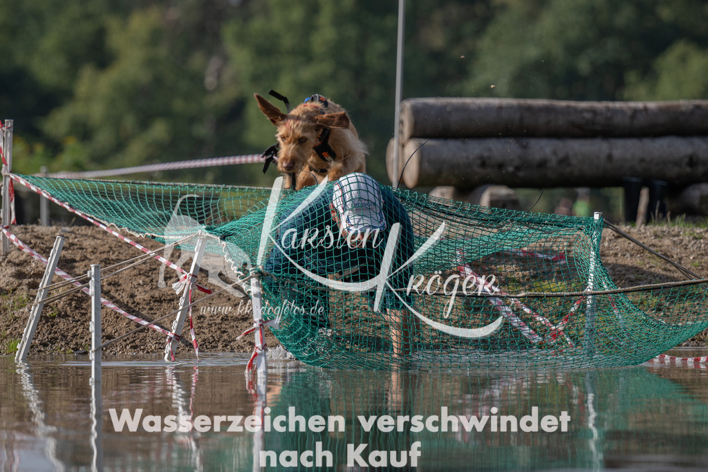 1159_ZZ94816 | kk-dogfotos