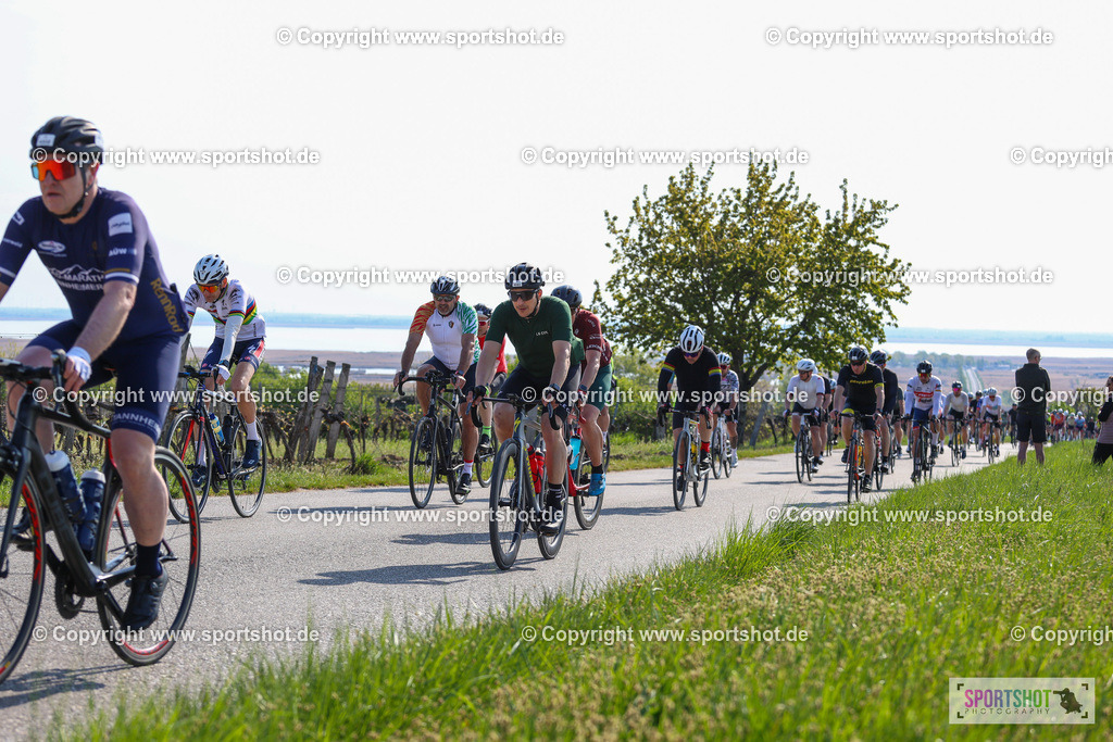 IMG_1502 | @sportshot_your_pictrs #yourpictures#roadtowm2029 #nrm #neusiedlerseeradmarathon #neusiedlersee #neusiedlerseetourismus #burgenland #mörbisch #nrm26 #burgenlandtourismus #voglundco #poweredbyburgenlandtourismus #radsport #rad #marathon #ucigranfondo #visitburgenland #ucigranfondoworldseries