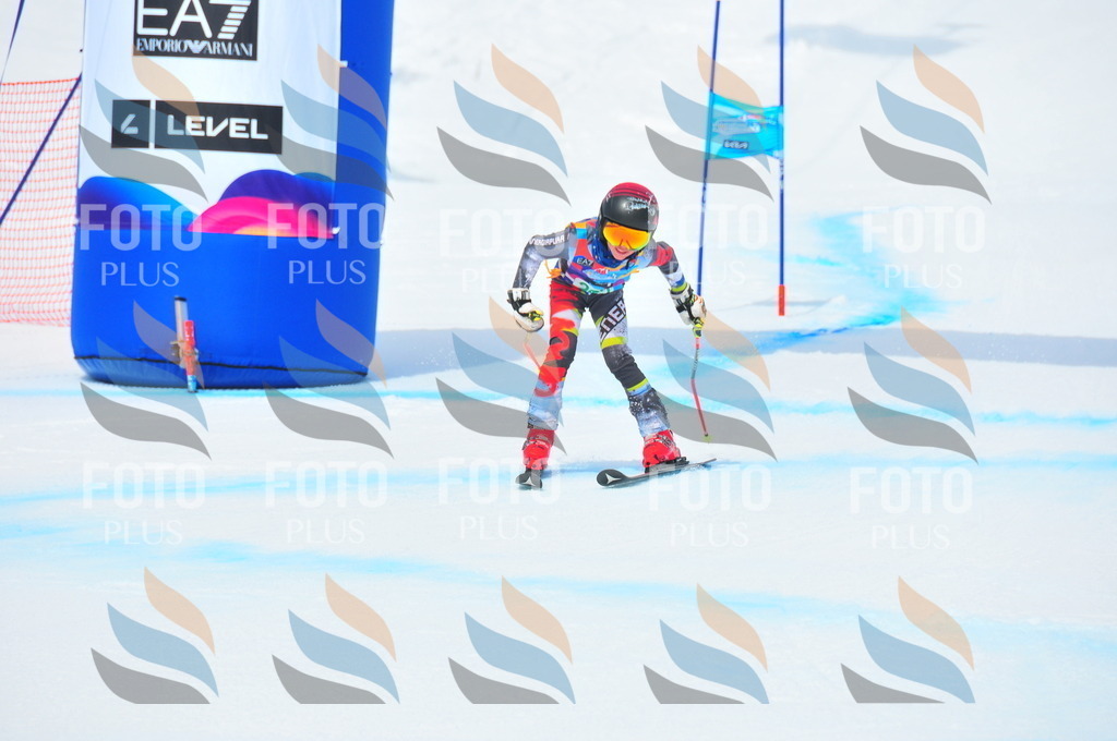 DSC_2477 | holidayphoto