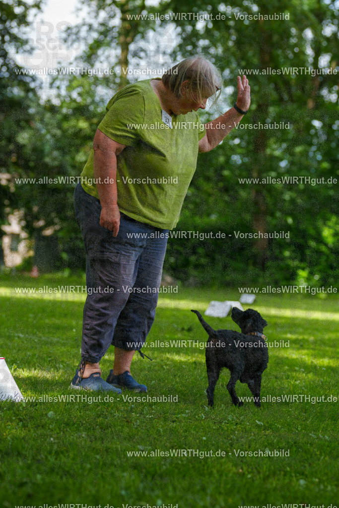 @allesWIRTHgut_Tierfotografie - www.allesWIRTHgut.de - 125012-7R509494 | Professionelle Tierfotografie in Mönchengladbach von Daniel Wirth (allesWIRTHgut). Liebevolle & natürliche Bilder von Hunden & Katzen für unvergessliche Erinnerungen.