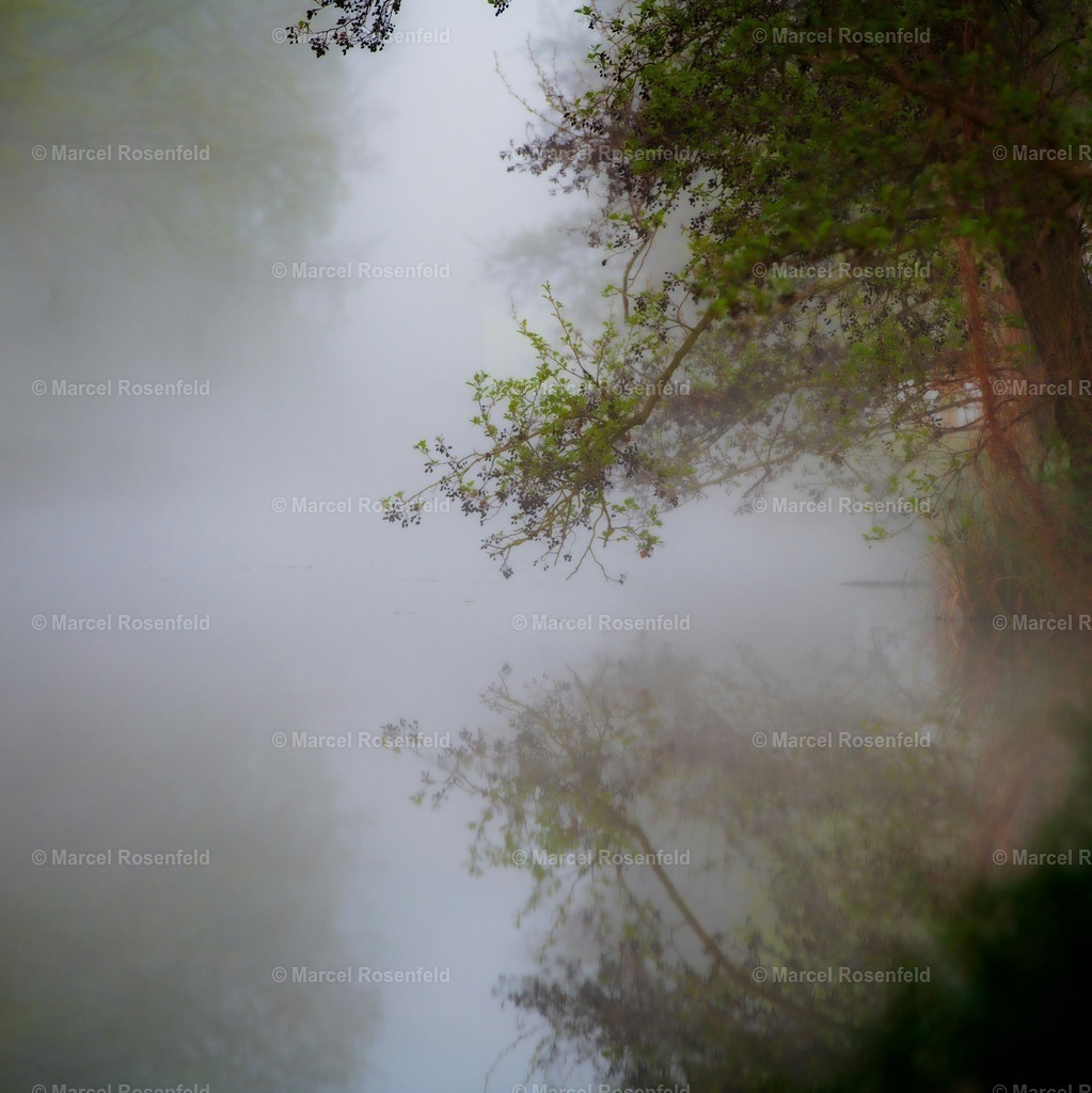 _DSC3002 (1) | foto-rosenfeld