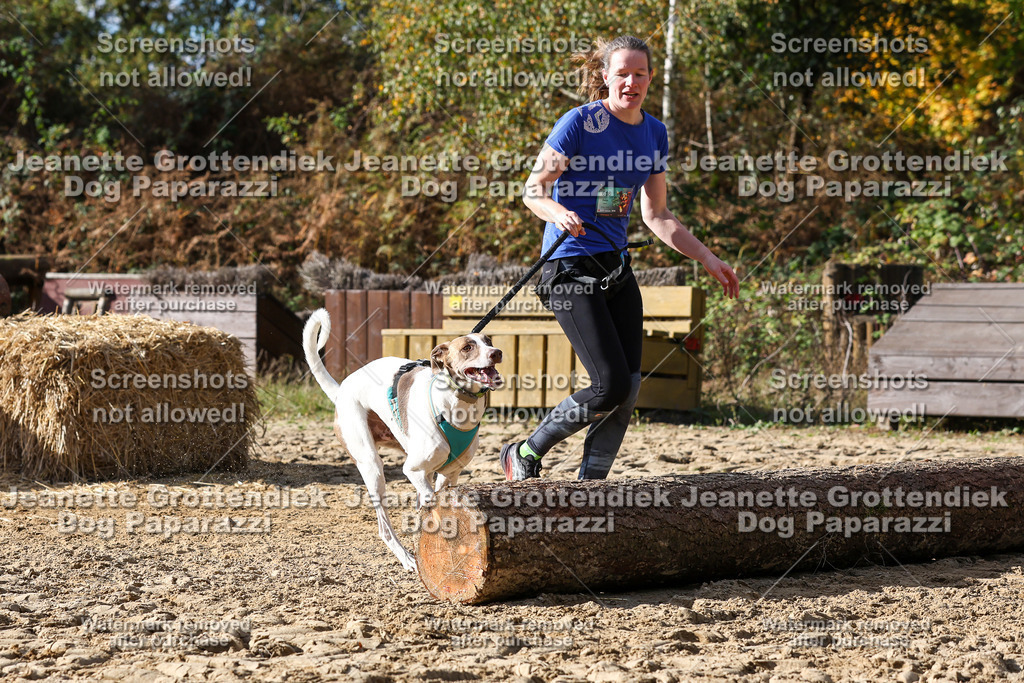 Dog Paparazzi - Strongdog 10-25-5483 | Dog Paparazzi Jeanette Grottendiek Fotografie & Videografie - Realisiert mit Pictrs.com
