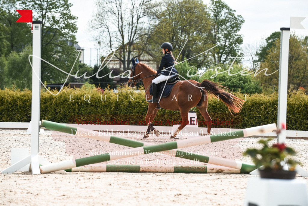 20230518_JK-Röhrsdorf-10-017 | Pferde- und Turnierfotografie in Westsachsen. Pferdeportraits, Auftragszeichnungen und intuitive Kunst.