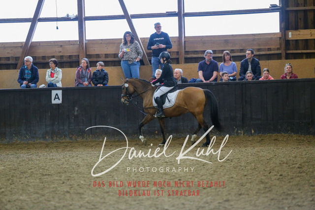 IMG_1577 | Turniersportfotografie; Pferdefotografie; Dressurfotografie