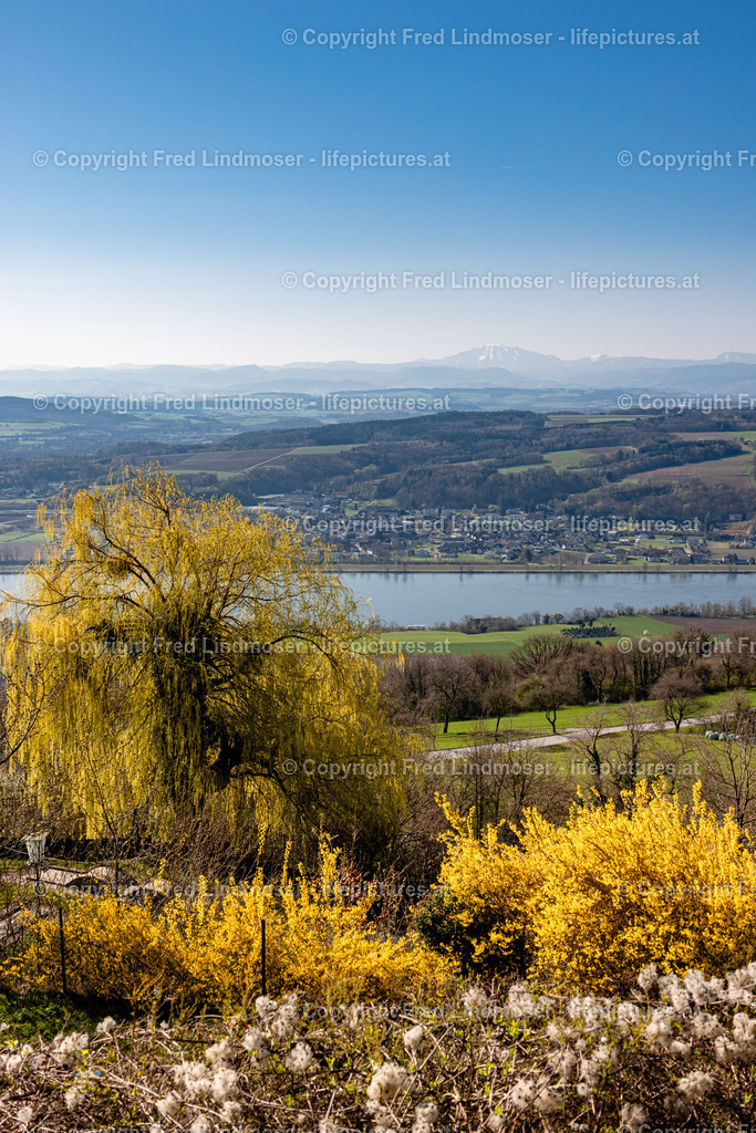 Wachau 04042025 _ Fred Lindmoser-6905 | Fotos und Fotoprodukte - Realisiert mit Pictrs.com