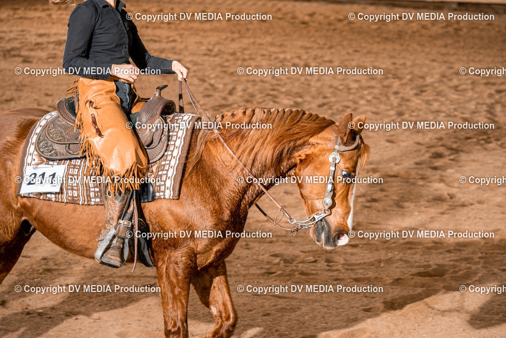 BA400748 | dv-media-shop - Realisiert mit Pictrs.com