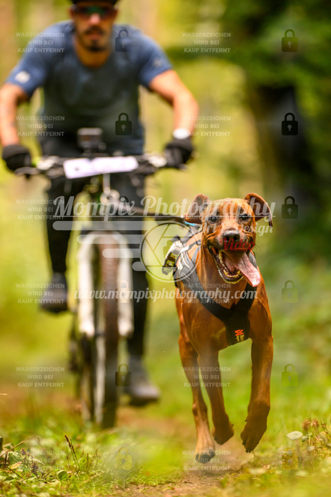 MompixPhotography_Yens2025_B2-128 | PayLife