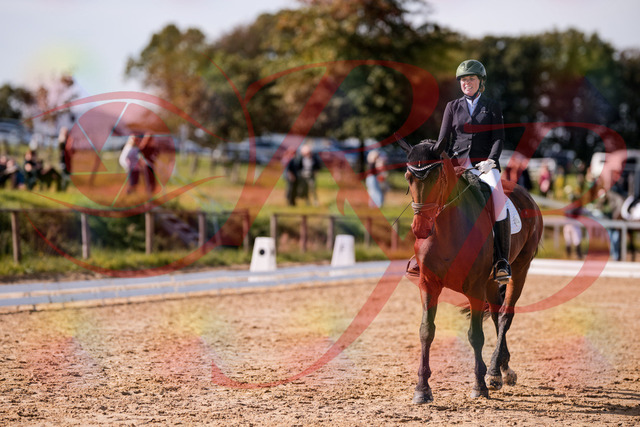 2026_10_03_Siefer-Hof_130121_Z81_53277468 | Professionelle Reitsport-, Turnier- und Eventfotografie von Robert Broda. Galerien mit ausgewählten und bearbeiteten Bildern direkt online ansehen und bestellen.
