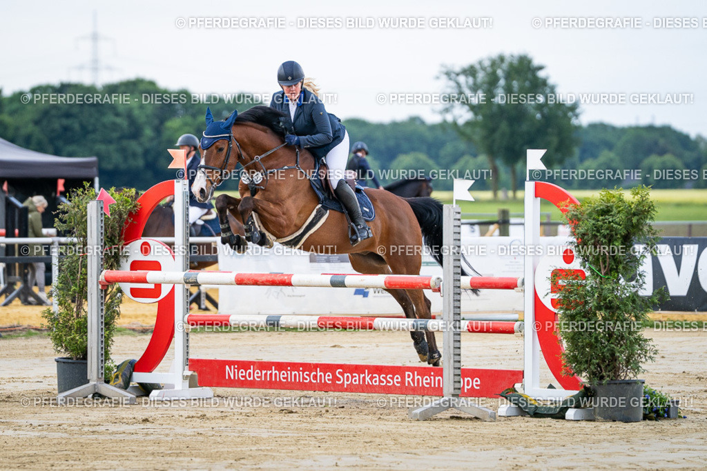 DSC03382 | Pferdegrafie