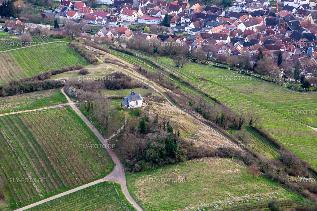 Naturschutzgebiet Kleine Kalmit im Frühling | Luftbild: Naturschutzgebiet Kleine Kalmit im Frühling im Ortsteil Arzheim in Landau im Bundesland Rheinland-Pfalz in Deutschland. Foto: IMG_140075.jpg vom 14.03.2024 durch ©2025 Werner Riehm fly-foto.de/copyright - Realisiert mit Pictrs.com
