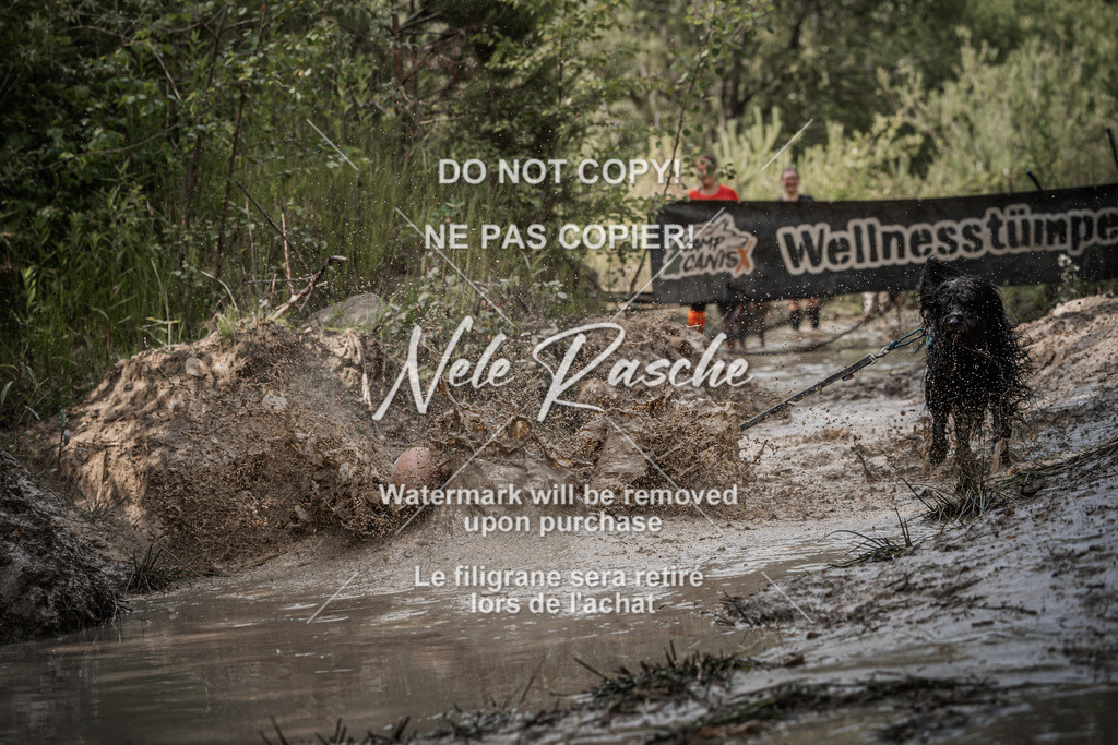 nelerasche_Hoope2026_So1600-1630_11 | nelerasche
