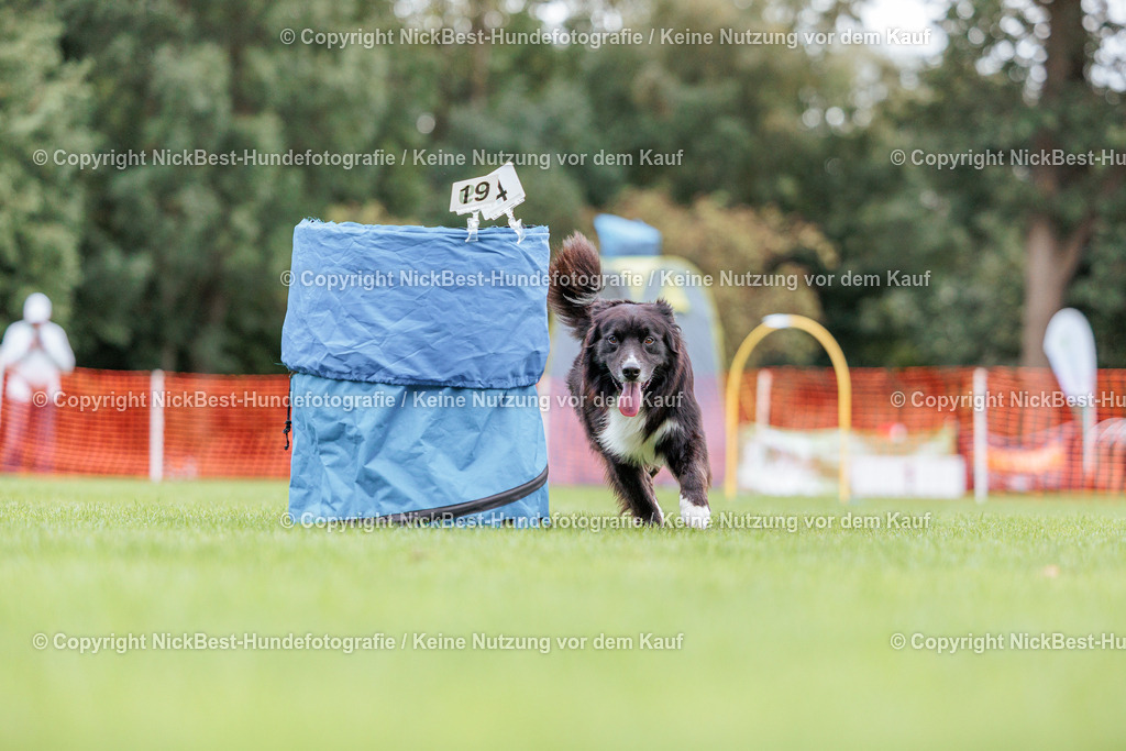 BSP Hoopers-H2 Tag2-2026-Nickbest-Hundefotografie-TuS Komet Arsten e.V.-4894 | Dein Hund! Dein Moment! Deine Erinnerungen! Hundefotografie in Bremen Blumenthal. Ich fange die besonderen Momente deines Vierbeiners ein – ob Indoor mit Blitzanlage oder in der freien Natur. Sicher dir dein Moment und dein Termin für eure Erinnerungen.